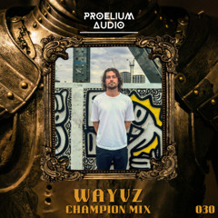Champion Mix 030: WAYVZ
