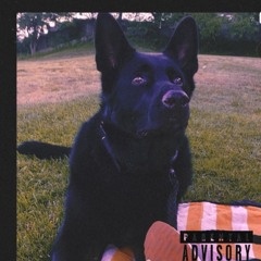 Taken freestyle