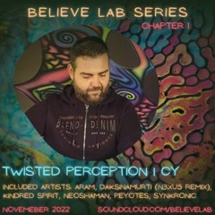 Believe Lab Series | Twisted Perception | #001 November 2022