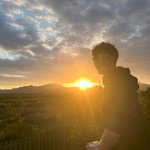 Just the Way You Are x Stereo Love (Bruno Mars x Leondis) [FREE DL]