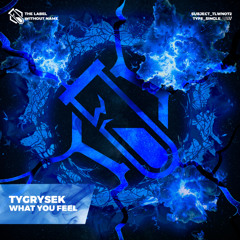 Tygrysek - What You Feel