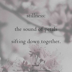 stilnes  (Naviarhaiku 571)