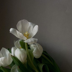 ‎⁨الرقية الشرعية بصوت هزاع البلوشي