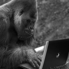 NEW TUNES (WORK IN PROGRESS)