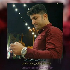 استاد مجتبی شاهروبندی ستاره درخشان استان بوشهر Shahroobandi