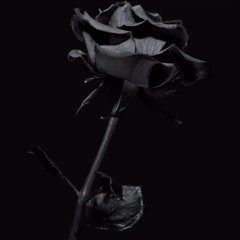 Emotionally scarred remix