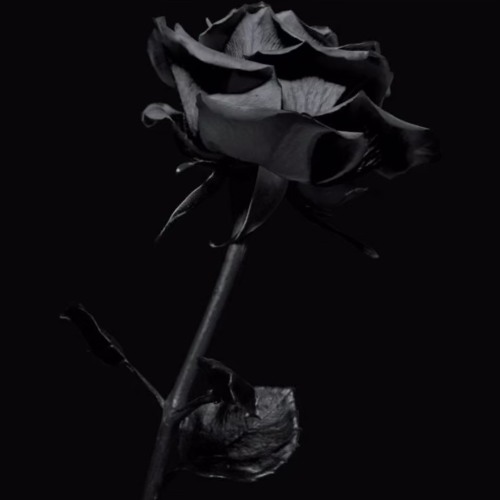 Emotionally scarred remix