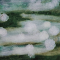 Motion Archive 004 - Oct 25