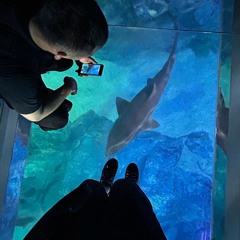 사랑의 이름으로 !!!!!