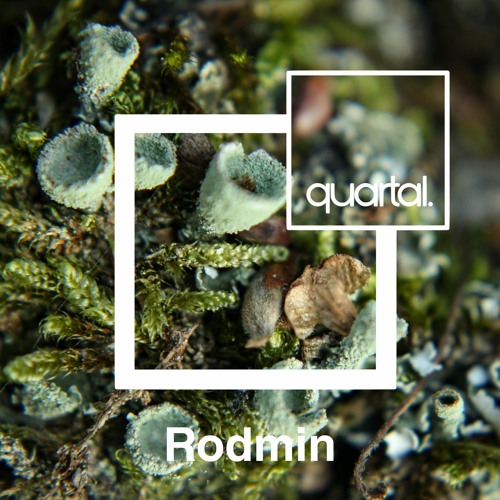 quartal. podcast with Rodmin