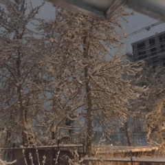 Navazesh (live) - tataloo