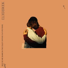 Elderbrook - Why Do We Shake (Vintage Culture Remix)
