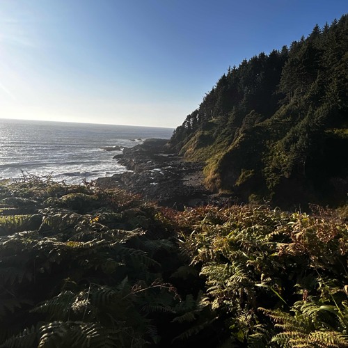 Baby Steps x Never Be The Same