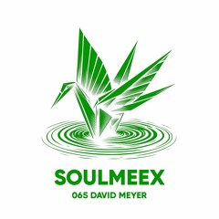 David Meyer - SOULMEEX 065