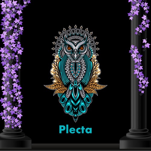 Epiphany Podcast #92 - Plecta