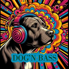 DOG'N BASS