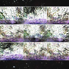 streetsofpurple
