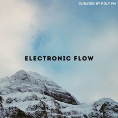 Electronic Flow