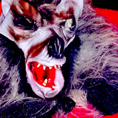 Becoming Animal Instrumental.