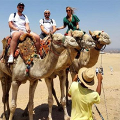 Best All Inclusive Private Trip Giza Pyramidssphinxcamelridelunchentrance Fees Tours Review