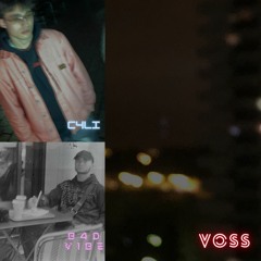 Badvibe feat Cvli  (Voss)