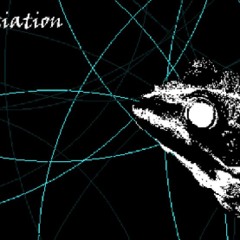 5. Negotiation