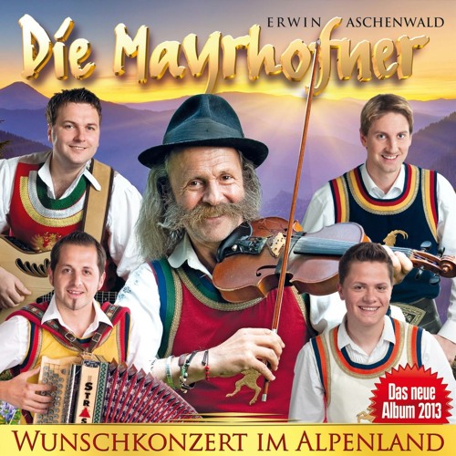 Marienkäfer