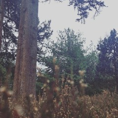 Come on back now (Instrumental)