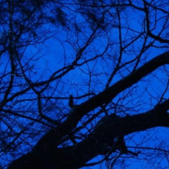 blubryrain