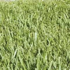 A Shape I Had Been Poured Into