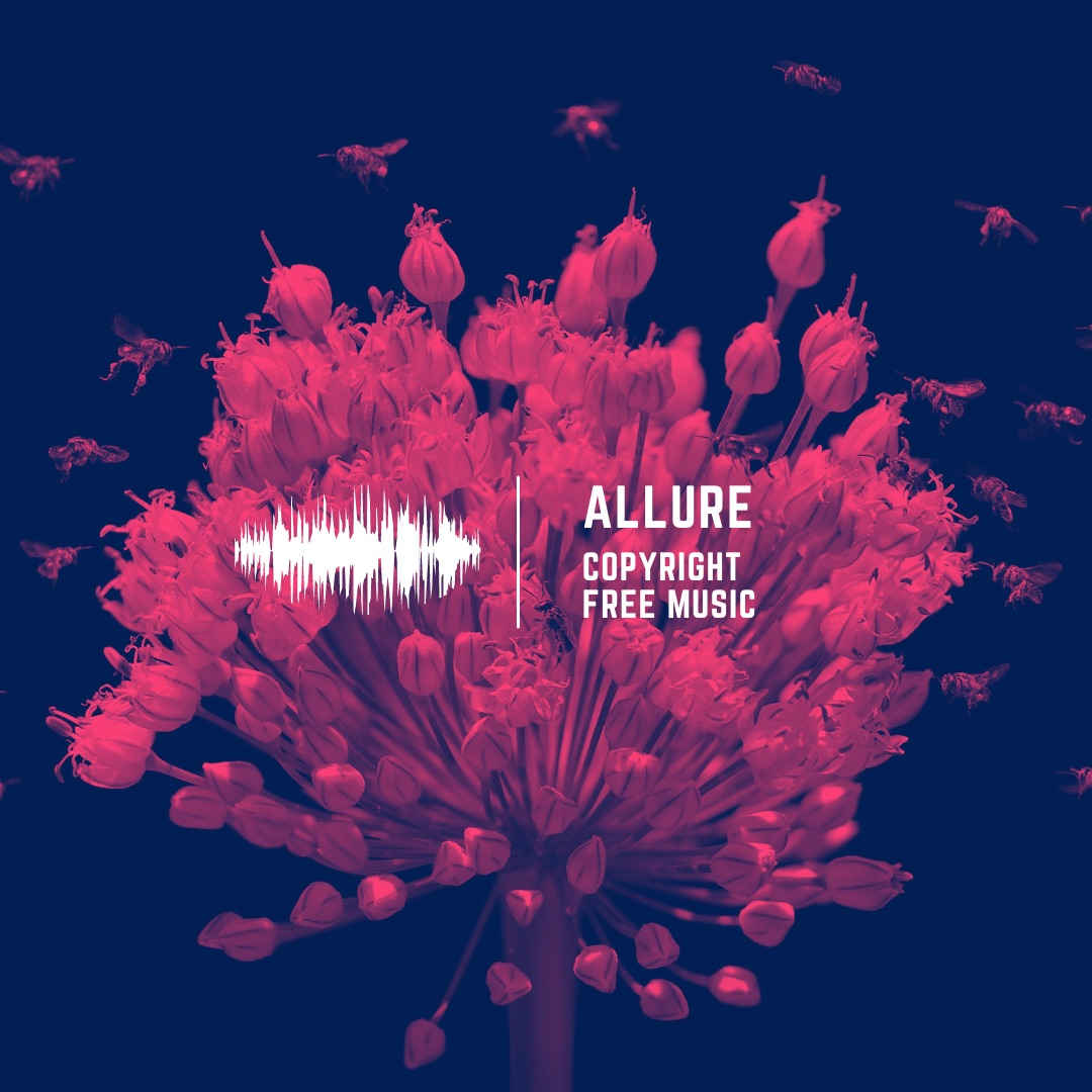 Download Allure