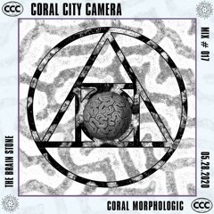 The Brain Stone by Coral Morphologic - Coral City Camera Mix #017