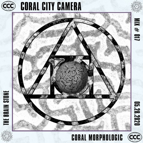 The Brain Stone by Coral Morphologic - Coral City Camera Mix #017