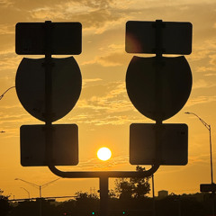 Human-Robot (PaganoWisdom Remix)