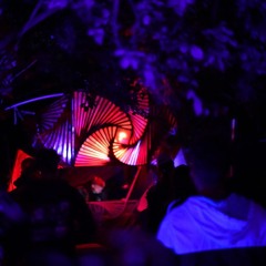 Preparation for SETI 24 / Tribehouse