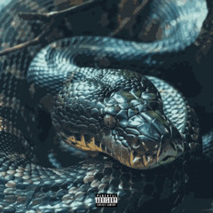 ANACONDA (PROD.RICKY DAVAINE)
