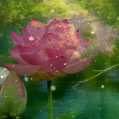 Nhạc Thiền Om Mani Padme Hum (128 kbps).mp3