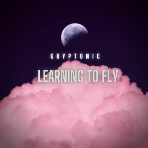 LEARNING TO FLY