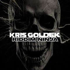 Kris Goldek - Riddim Ninja