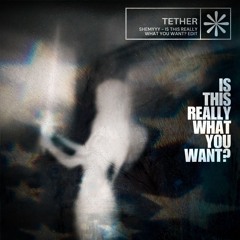 IS THIS REALLY WHAT U WANT? / TETHER EDIT