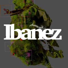 #050 IN ESSENCE SESSION IBAÑEZ MELODIC HOUSE TECHNO 03.02.24
