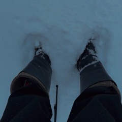 WE ARE CHARLIE KIRK (Hardstyle Remix)