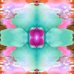 < S I L K > Chill Bangers GUEST MIX by Shelajit Vol 27