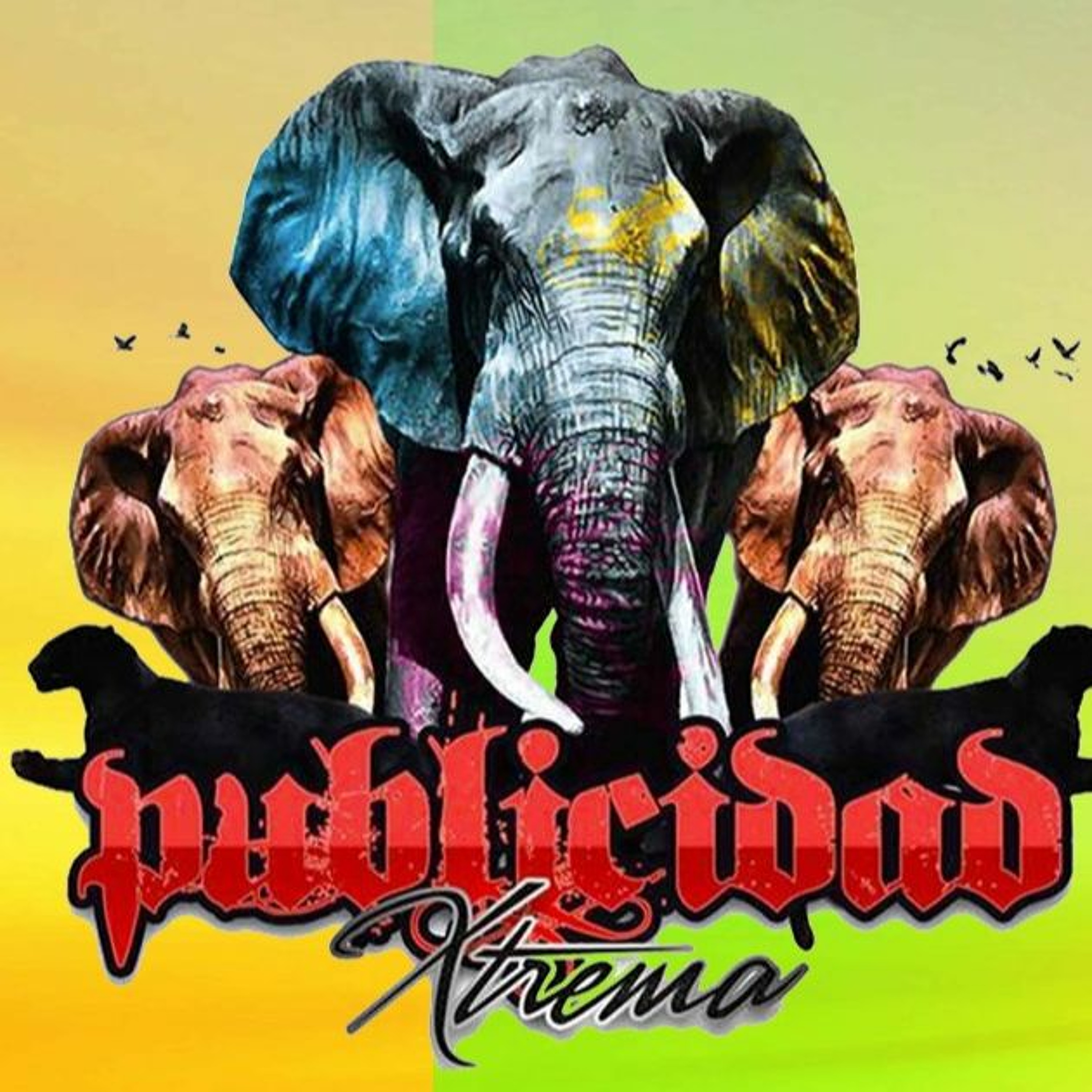 ResetAlmohadillas.com | Solución Informática a tu Alcance