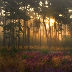 Deep House/Electronic tracks