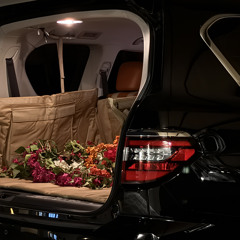 بـينـي وبـينـك ، 🪶