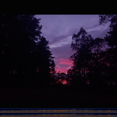 2025.11.02 A Dawn between Two Forests. Spring.