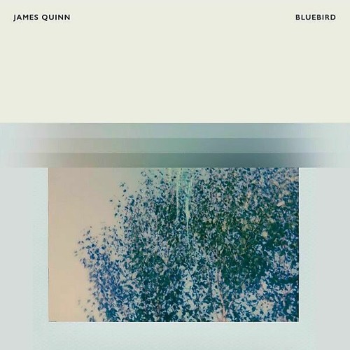 Bluebird .. James Quinn