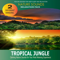 Jungle by Night (Nature Sounds - Relaxation Pack)