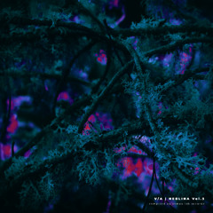 𝐏𝐑𝐄𝐌𝐈𝐄𝐑𝐄 | Circuit V - Bloom [atmos.lab records]